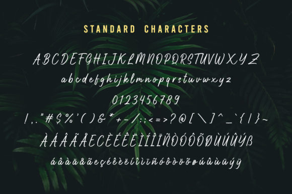 Highnorth Font PNG with transparent background - Preview 5