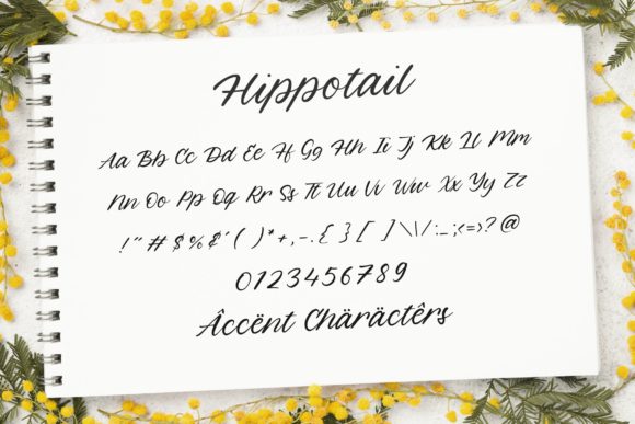 Hippotail Font PNG with transparent background - Preview 4