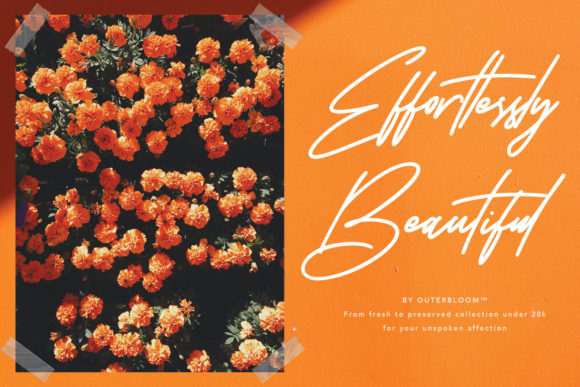Karstar Signature Font PNG with transparent background - Preview 4