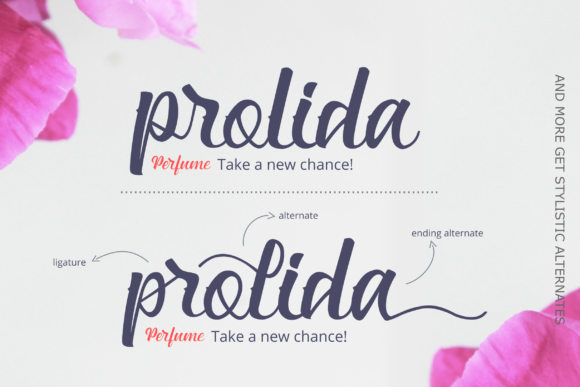 Rumaisha Font font preview - 2