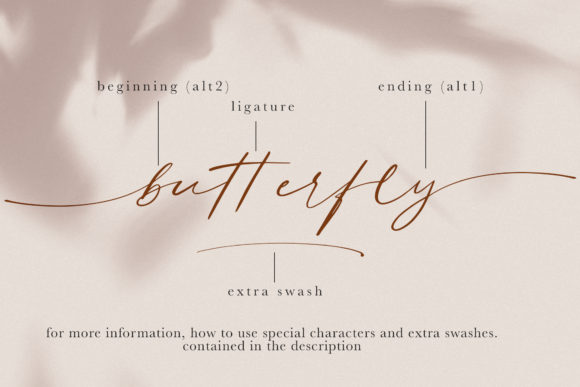 Smoothness Font PNG with transparent background - Preview 1