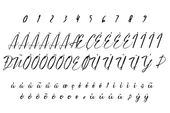 Anastasya Font - Preview 3