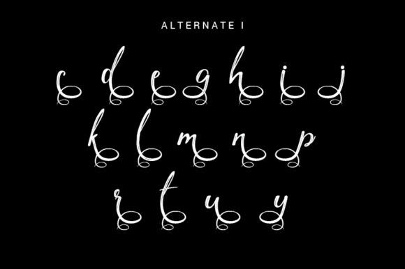 Anastasya Font - Preview 5