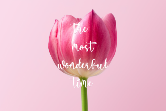 Flora Font - Preview 4