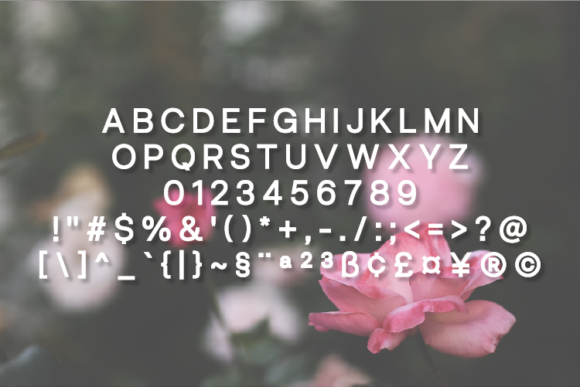 Heymour Font PNG with transparent background - Preview 1