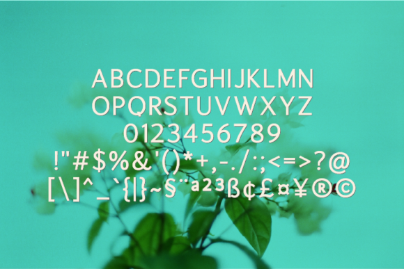 Hunleona Font - Preview 1