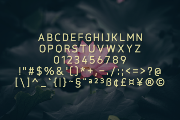 Roselfold Font PNG with transparent background - Preview 1