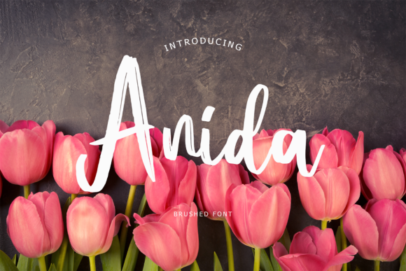 Anida Font - Preview 1
