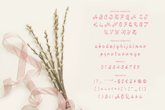 Beauty Life Font - Preview 1