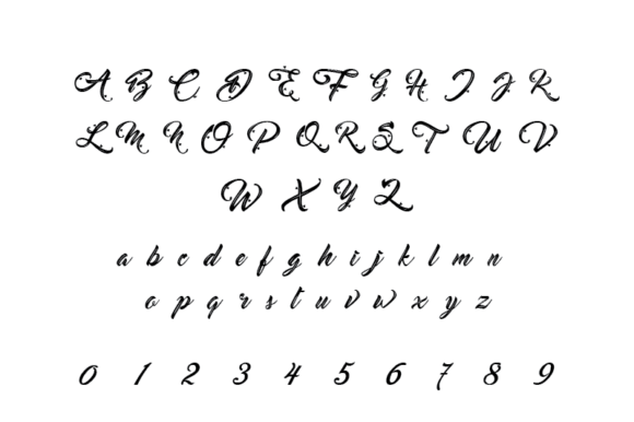 Bryonna Font - Preview 5