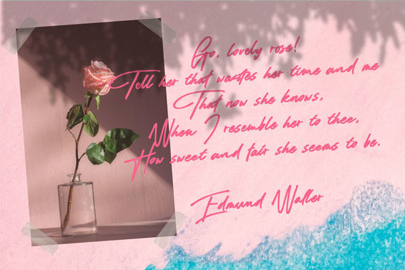 Rose Flinch Font PNG with transparent background - Preview 5
