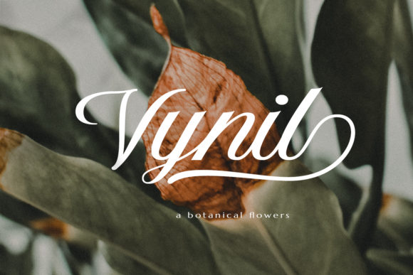 Aetrina Script Font - Preview 2