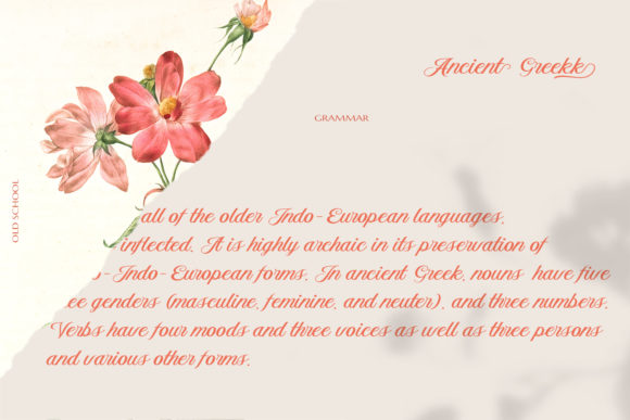 Aetrina Script Font - Preview 4