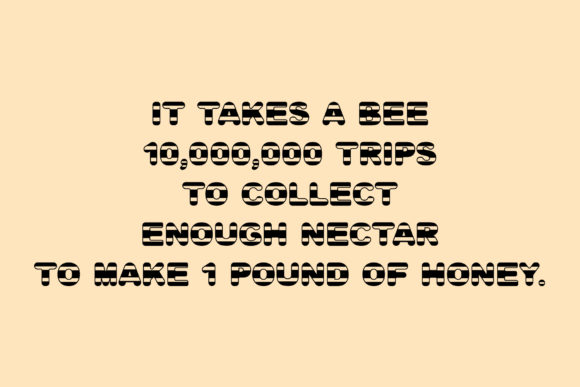 Bee Honey Font - Preview 4