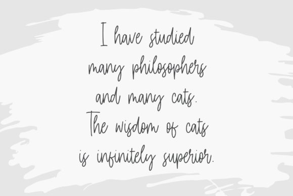 Daily Kitten Font - Preview 1