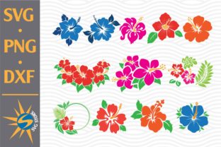 Hibiscus Flowers Graphic by SVGStoreShop · Creative Fabrica