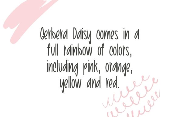 Morning Gerbera Daisy Font PNG with transparent background - Preview 1