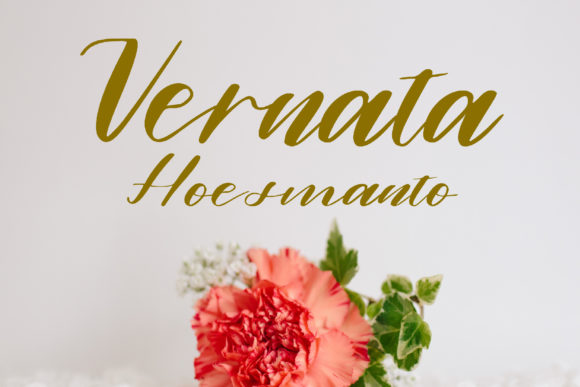Alamanda Font - Preview 2