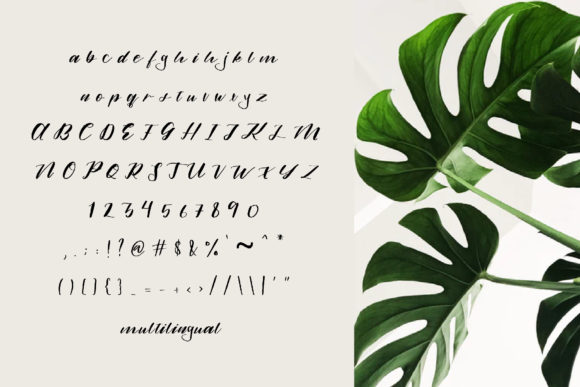 Alamanda Font - Preview 4