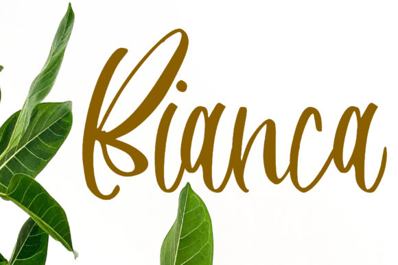 Ayudia Font - Preview 1