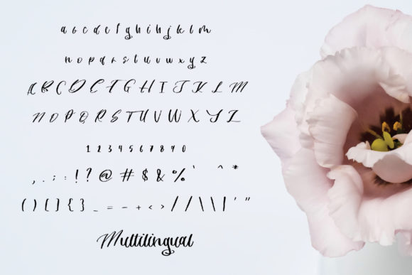 Ayudia Font - Preview 2