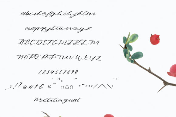 Bomboloni Font - Preview 1