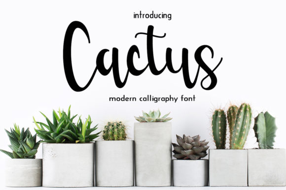 Cactus Font by Fillo Graphic  Creative Fabrica