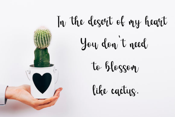 Cactus Font - Preview 5
