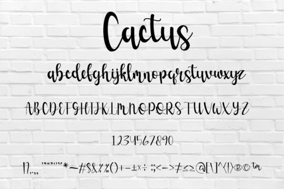 Cactus Font - Preview 6