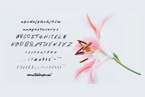 Cinestory Font PNG with transparent background - Preview 3