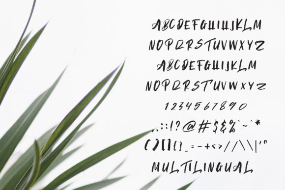 Lemos Font PNG with transparent background - Preview 3