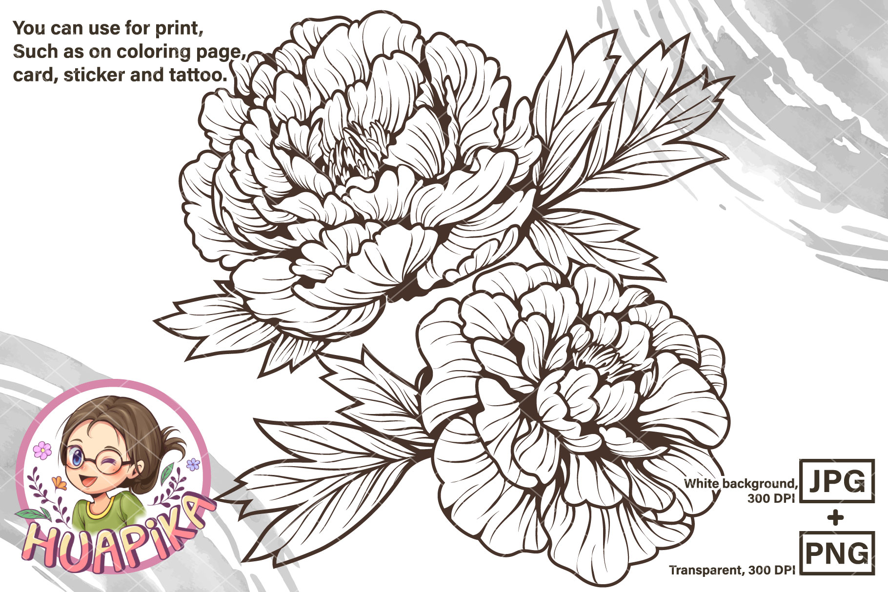 Line Drawing Peony Flower