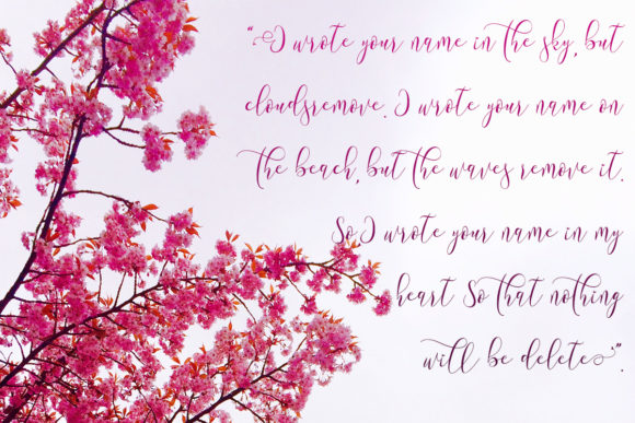 Meillea Font PNG with transparent background - Preview 5