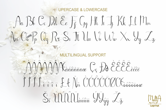 Mulla Font PNG with transparent background - Preview 4