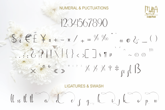 Mulla Font PNG with transparent background - Preview 5