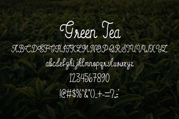 Green Tea Font - Preview 3