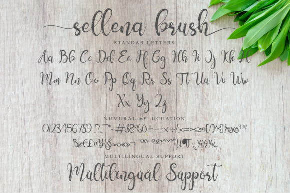 Sellena Font PNG with transparent background - Preview 5