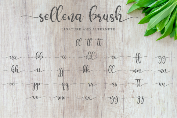 Sellena Font PNG with transparent background - Preview 6