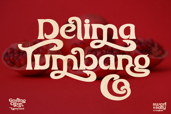 Gosling Qijon Font - Preview 2