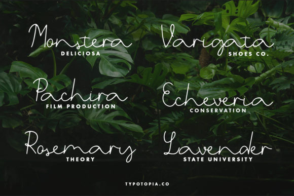 Belgia Font - Preview 1