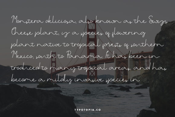 Belgia Font - Preview 4