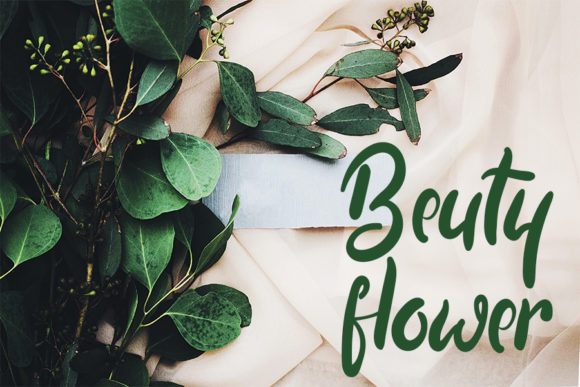 Bellarosa Font - Preview 2