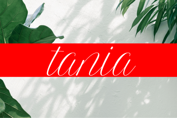 Amanda Font - Preview 1