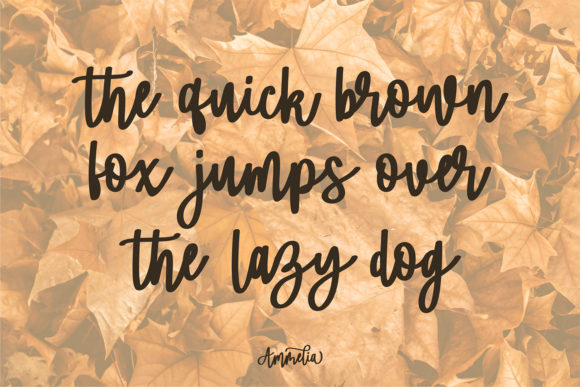 Ammelia Font - Preview 3