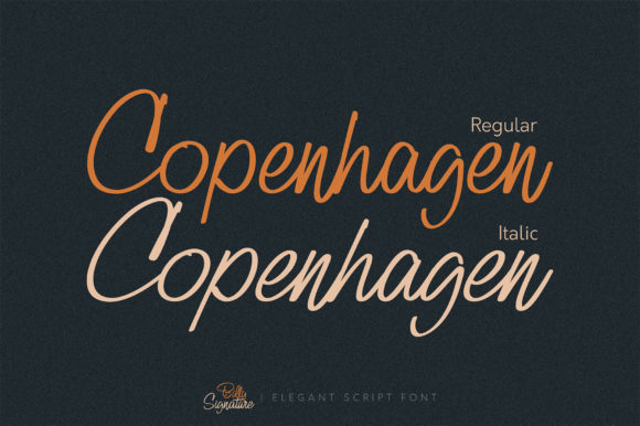 Billy Signature Font - Preview 2