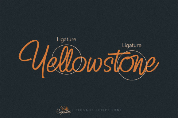 Billy Signature Font - Preview 4