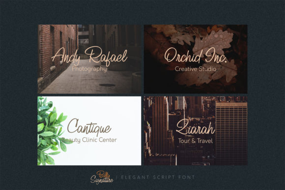 Billy Signature Font - Preview 6