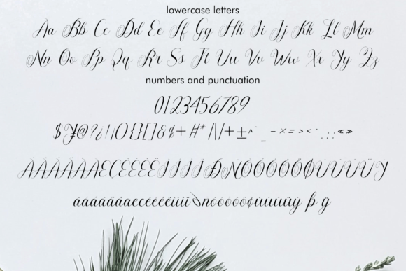 Ferlyna Font - Preview 5