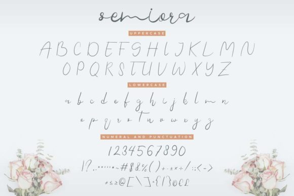 Semiora Font font preview - 3