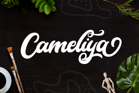 Cameliya Script & Handwritten Font By StringLabs